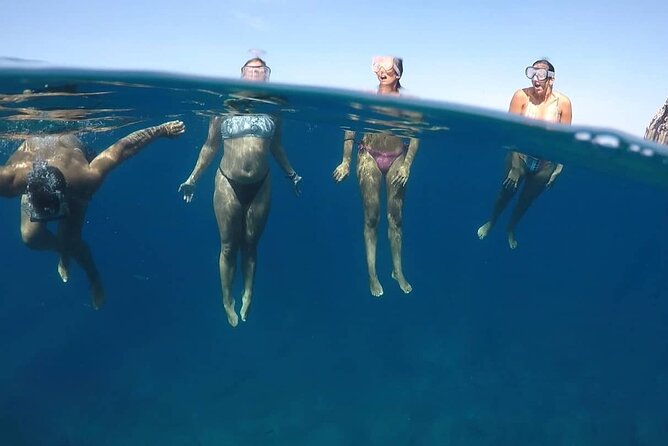 Kayak Safari with Dolphin and Turtle Watching in Guaza - Paddling Reality Check: Waves, Tides, and a Short Haul to the Water