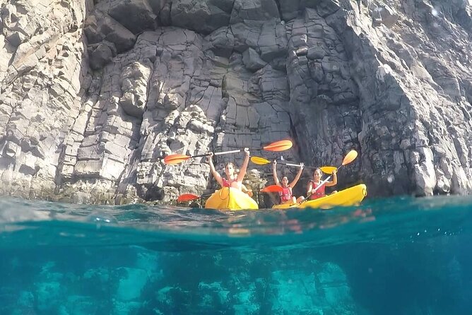 Kayak Safari with Dolphin and Turtle Watching in Guaza - Group Size, Timing, and How It Fits Your Day