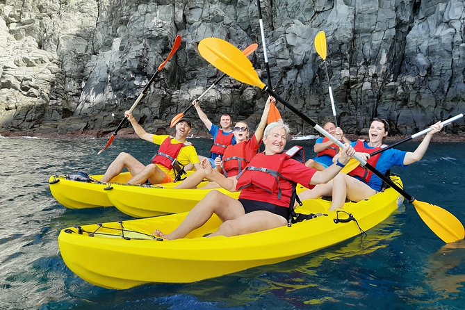Kayak with Dolphin & Turtle Watching Private Tour - Key takeaways before you go
