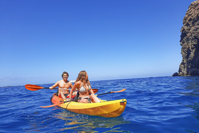 Kayak with Dolphin & Turtle Watching Private Tour - Why Teno Rasca and Guaza cliffs are made for sea-life spotting