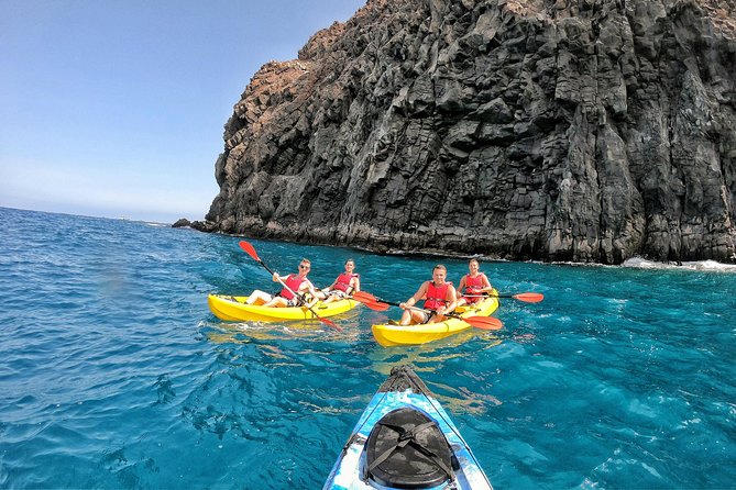 Kayak with Dolphin & Turtle Watching Private Tour - Private tour value, group size, and what pickup changes