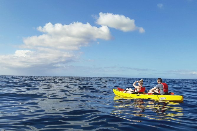 Kayak with Dolphin & Turtle Watching Private Tour - Wildlife sightings: turtles, dolphins, and setting expectations