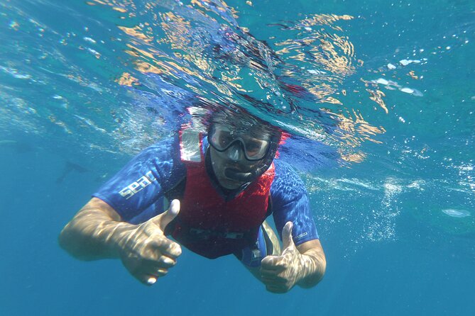 Kayaking + snorkeling with turtles - Pacing and guides: what I think matters most for a smooth outing