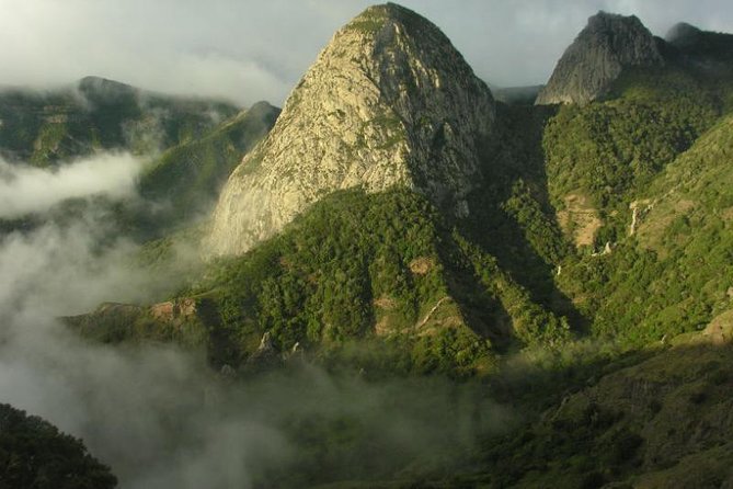 La Gomera Island Tour - Price and Logistics: what $145.45 really covers