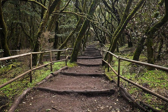 La Gomera Island Tour - Valle de Hermigua: quick hits at the viewpoint