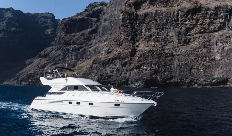 Las Galletas: Private Luxury Yacht Cruise with Lunch - Key highlights you will feel right away