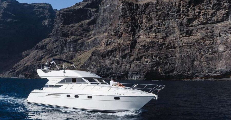 Las Galletas: Private Luxury Yacht Cruise with Lunch - Fast cruising, careful viewing, and what makes it feel luxurious
