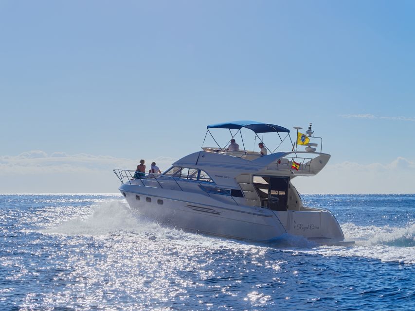 Las Galletas: Private Luxury Yacht Cruise with Lunch - What to bring, what to watch for, and who should feel comfortable