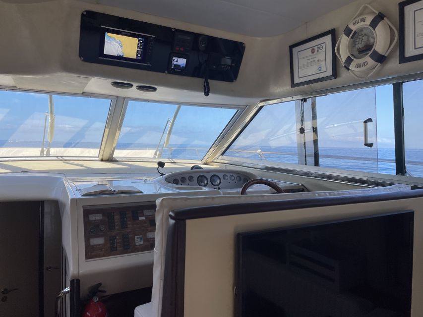 Las Galletas: Private Luxury Yacht Cruise with Lunch - Las Galletas marina to the whale-and-dolphin search