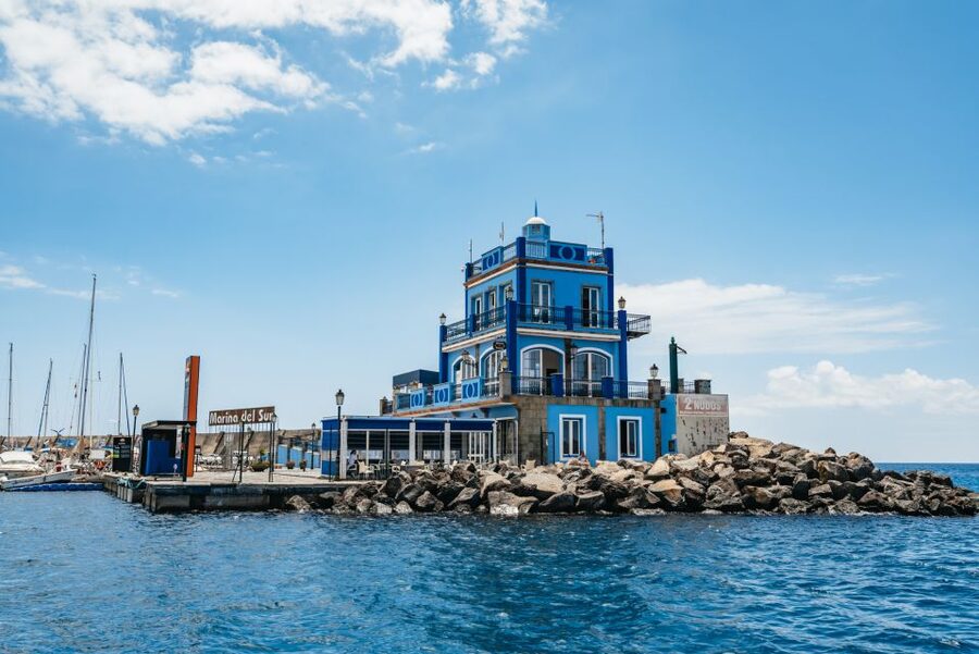 Las Galletas: Whale & Dolphin Tour with Local Skipper - Snorkeling stop and lunch onboard, what you need to know
