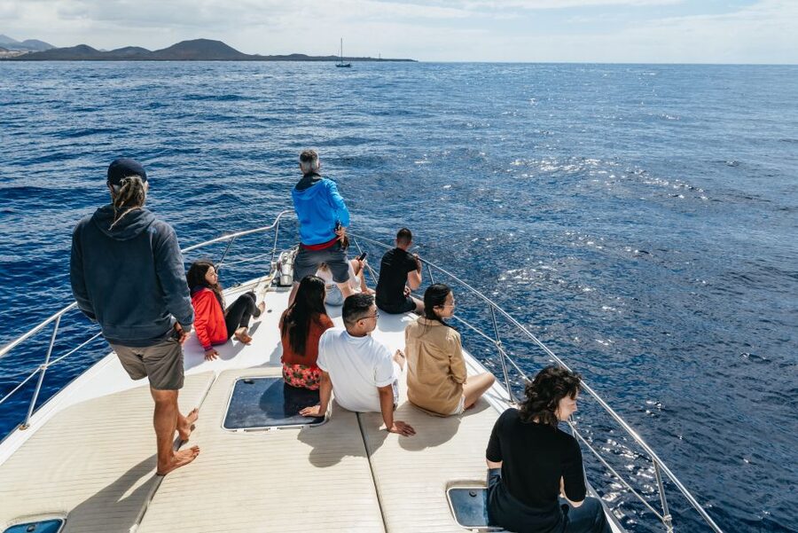 Las Galletas: Whale & Dolphin Tour with Local Skipper - The return cruise past Punta de Rasca and coastal views