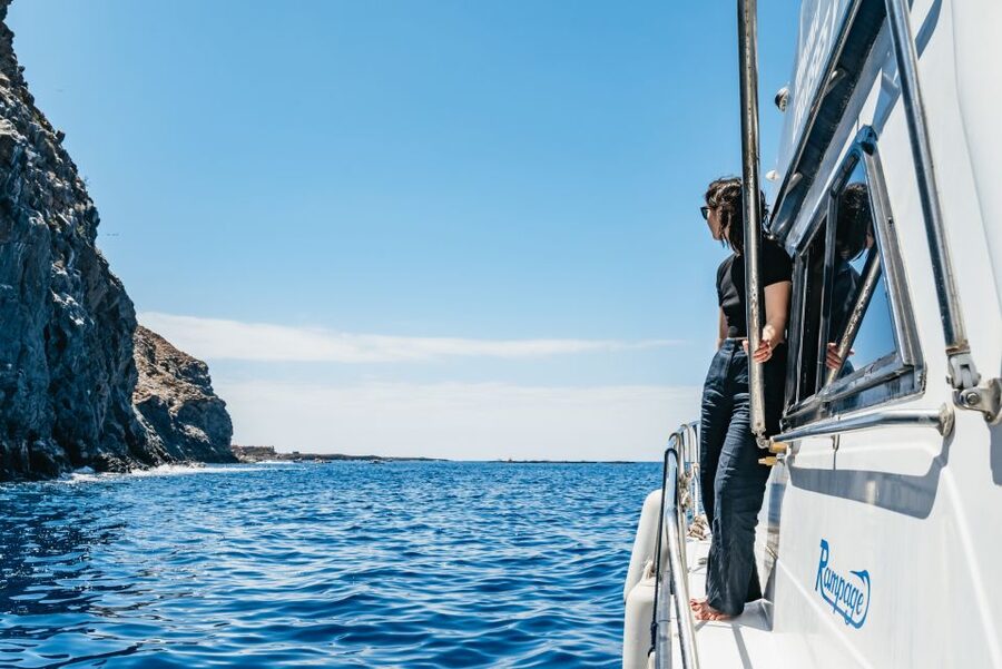 Las Galletas: Whale & Dolphin Tour with Local Skipper - Weather, seasickness, and what to pack for a smoother day