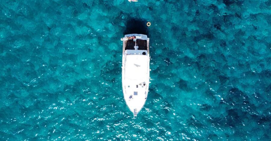 Las Galletas: Whale & Dolphin Tour with Local Skipper - Who this tour suits best (and who should skip it)