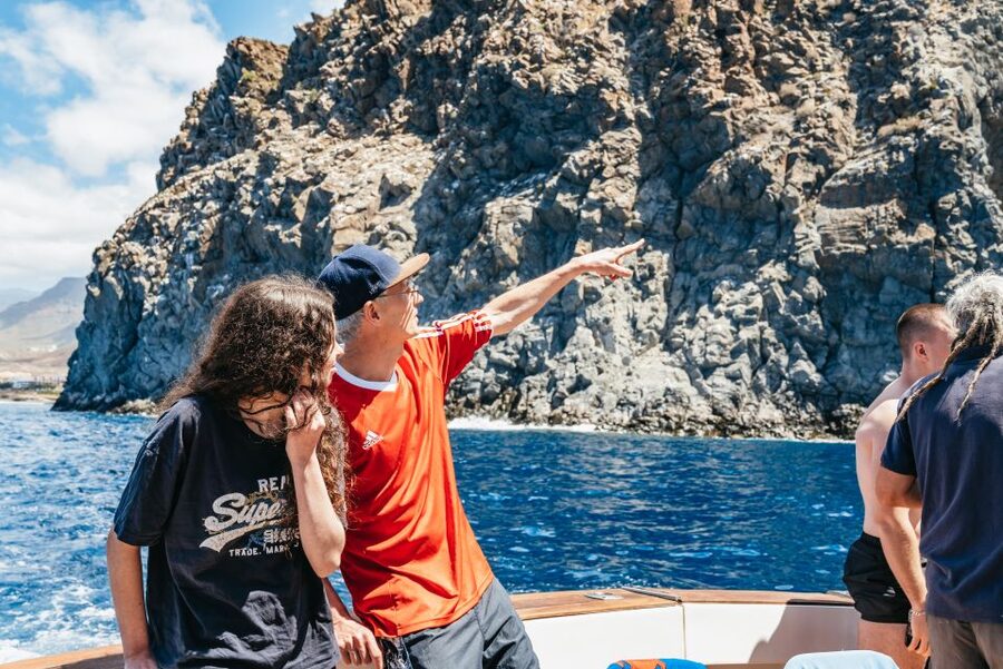Las Galletas: Whale & Dolphin Tour with Local Skipper - How the whale and dolphin search actually feels off Tenerife