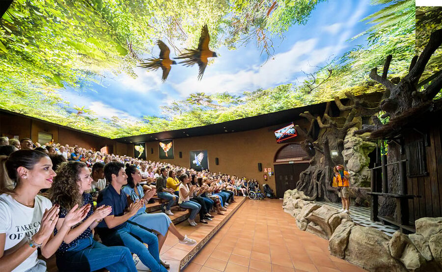 Loro Parque and Siam Park Combined Admission Tickets - What the Loro Parque and Siam Park combo really gives you