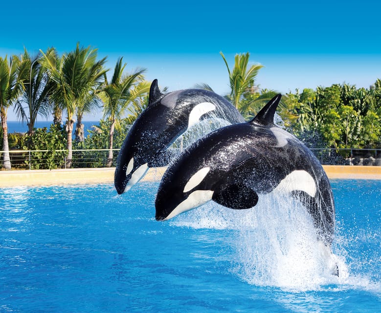 Loro Parque and Siam Park Combined Admission Tickets - Planning your day split across Tenerife, North vs South