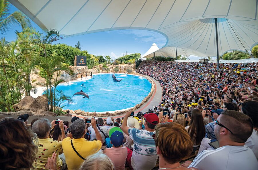 Loro Parque and Siam Park Combined Admission Tickets - Shows, queues, and how to save hours (not just minutes)