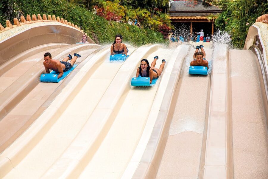 Loro Parque and Siam Park Combined Admission Tickets - Who this combo is best for, and who should think twice