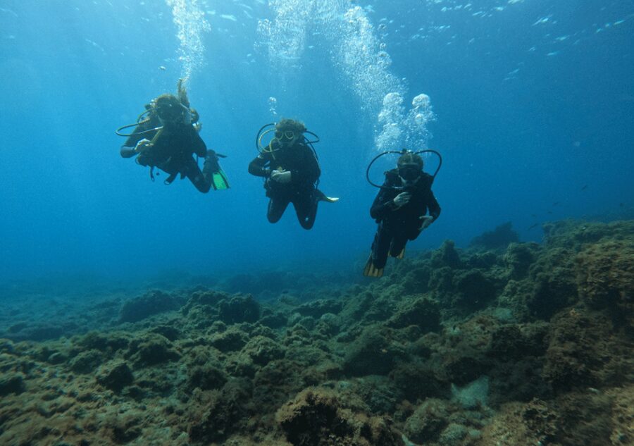 Los Cristianos: Basic Diver Course - Why Los Cristianos Works So Well for First-Time Scuba in Tenerife
