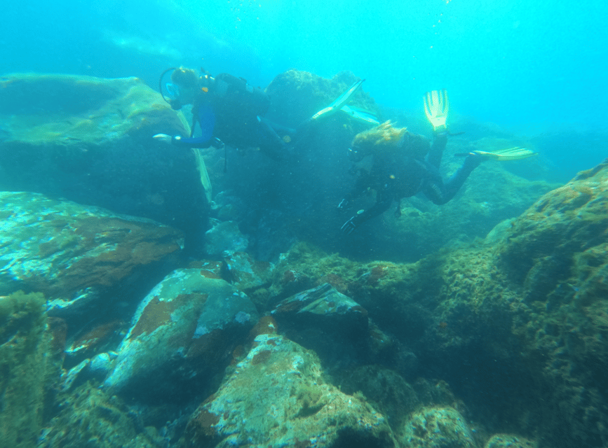 Los Cristianos: Basic Diver Course - Price and Value: What $153 Really Buys You