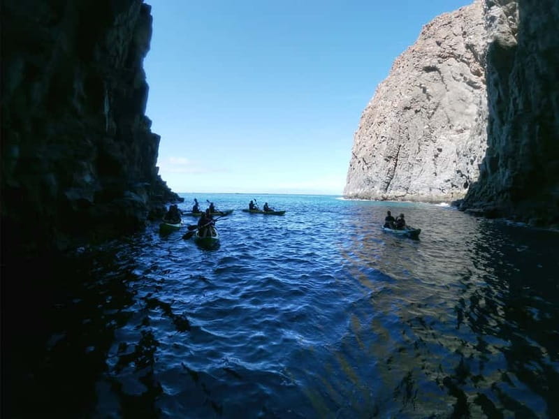 Los Cristianos: Kayak and Snorkel with Turtles and Photos - Los Cristianos Kayak and Snorkel: why this mix works on Tenerife