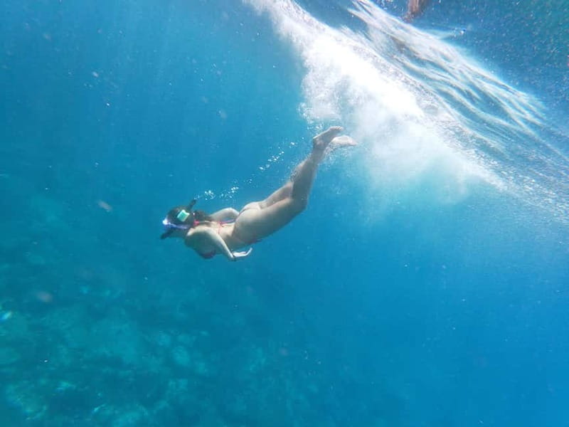 Los Cristianos: Kayak and Snorkel with Turtles and Photos - Snorkeling near the sea cave: turtles, fish, and what to expect underwater