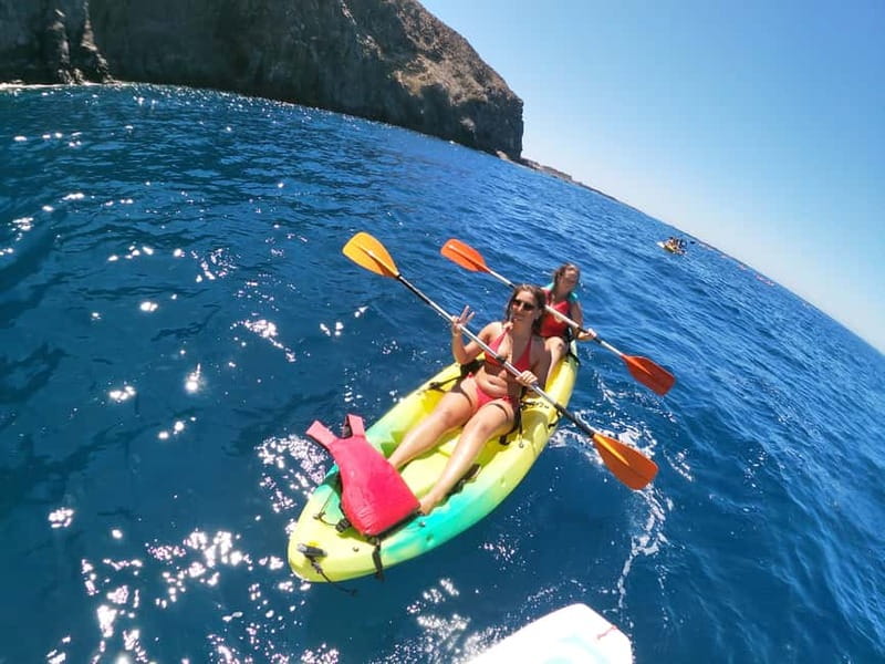 Los Cristianos: Kayak and Snorkel with Turtles and Photos - Dolphins, red crabs, and the finish paddle back to Los Cristianos