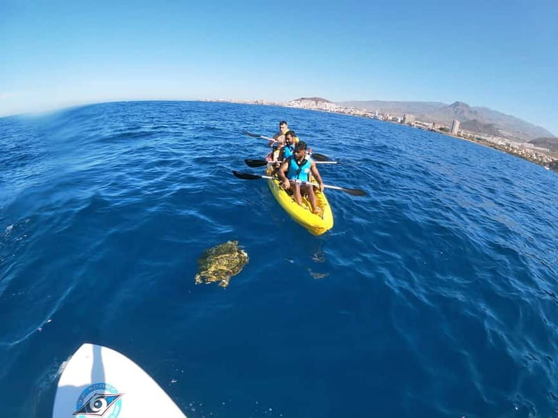 Los Cristianos: Kayak and Snorkel with Turtles and Photos - Post-tour comfort: showers, snacks, and the free aquatic photos