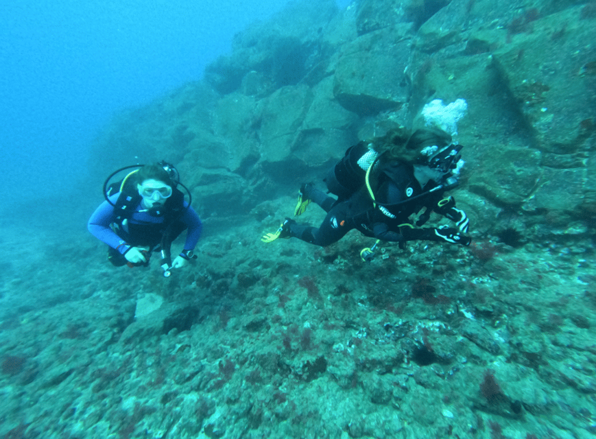 Los Cristianos: Try Dive for beginners - Should you book this first scuba try in Los Cristianos?