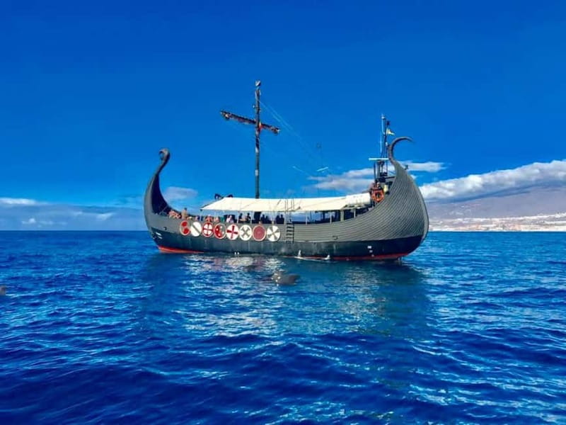 Los Cristianos: Viking Cruise Whales & Dolphins Watching - Ragnarok on Tenerife’s South Coast: a Viking Cruise with Real Sea Time