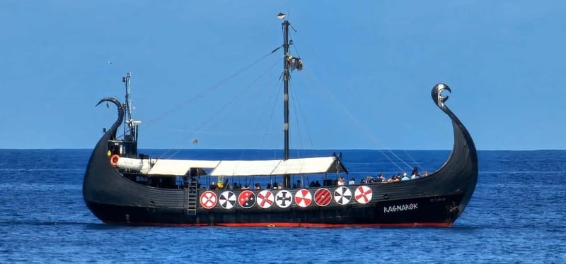 Los Cristianos: Viking Cruise Whales & Dolphins Watching - Practical stuff that can make or break your comfort