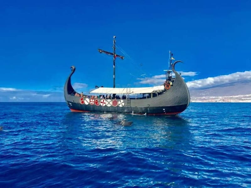 Los Cristianos: Whale Watching Cruise w/Swim Stop & Drinks - The 3-Hour Flow: How the Time Usually Feels