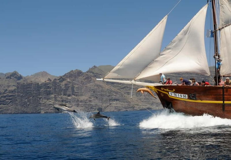 Los Gigantes: Dolphin and Whale Watching Tour with Drinks - Dolphins and whales search: what you can control, and what you can’t
