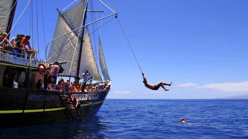 Los Gigantes: Dolphin and Whale Watching Tour with Drinks - The swim stop in a crystal bay, stairs or trapeze included