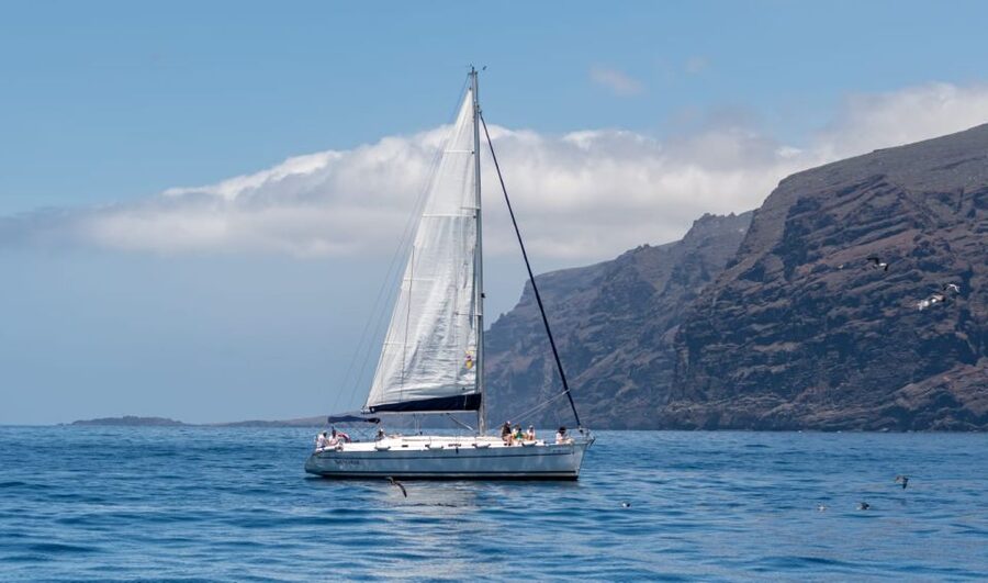 Los Gigantes: Private Sailing Tour with Swim, Drink, & Tapas - Dolphins, Whales, and the Natural Marine Route
