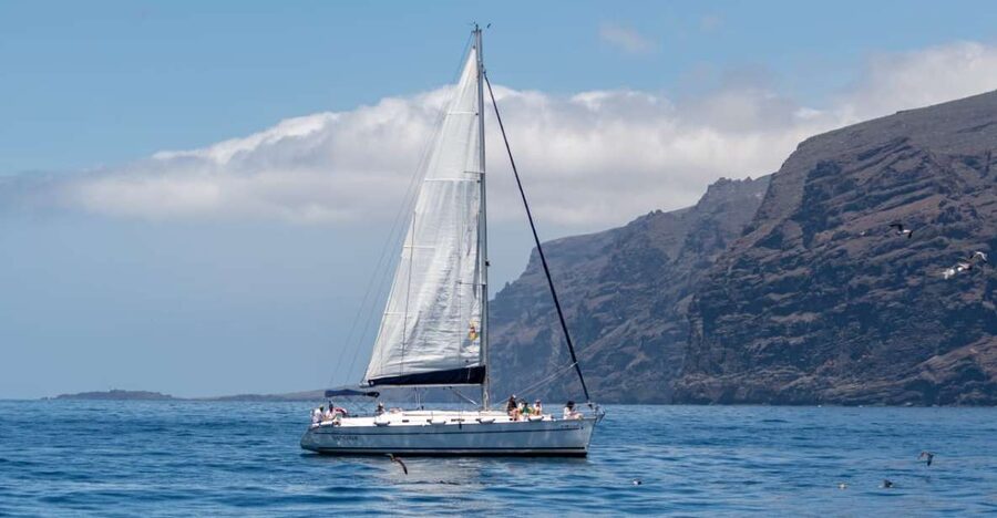 Los Gigantes: Sailing Excursion with Swimming, Drink & Tapas - Dolphin and pilot whale watching with a skipper who manages the search