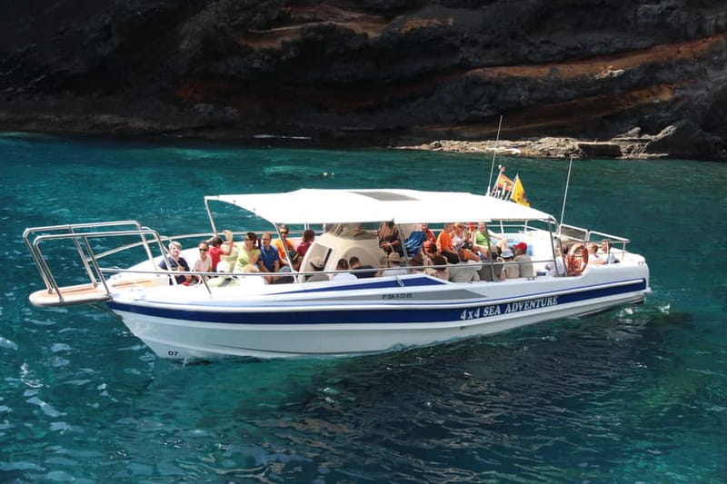 Los Gigantes: Whale or dolphin watching and swimming tour in Masca - Masca Bay swim stop under the cliffs: timing, entry, and snorkel reality