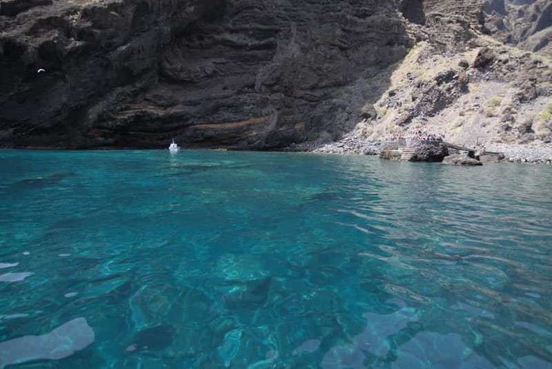 Los Gigantes: Whale or dolphin watching and swimming tour in Masca - Should you book the Los Gigantes whale and dolphin watching plus Masca swim?