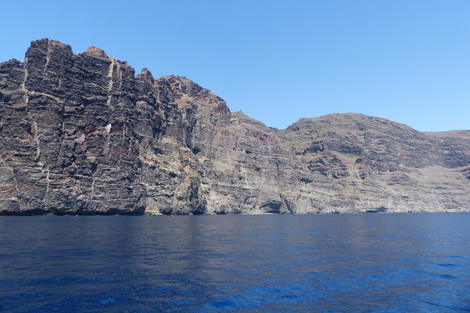 Los Gigantes Whale Watching Charter by Sail Boat - Small-Group Sailing: The Difference Between 10 and a Crowd