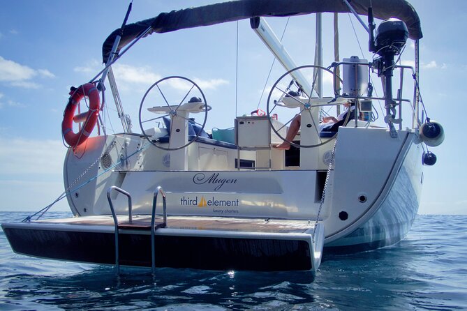 Los Gigantes Whale Watching Charter by Sail Boat - Price and Value: Is About $90 Worth It?