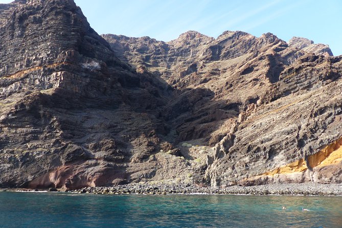 Los Gigantes Whale Watching Charter by Sail Boat - Whale Watching Off Los Gigantes: What You Can Expect to See