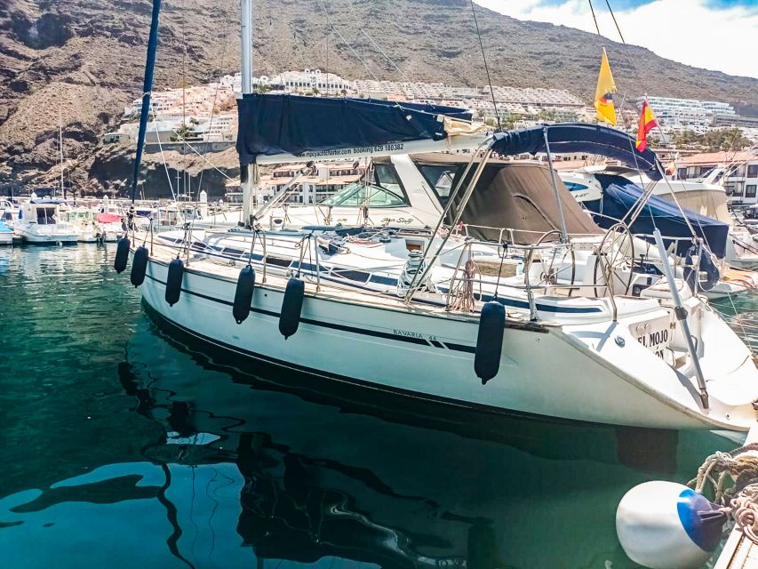 Los Gigantes: Whales and Dolphin Watching Cruise with Lunch - Who should book this cruise, and who should plan differently