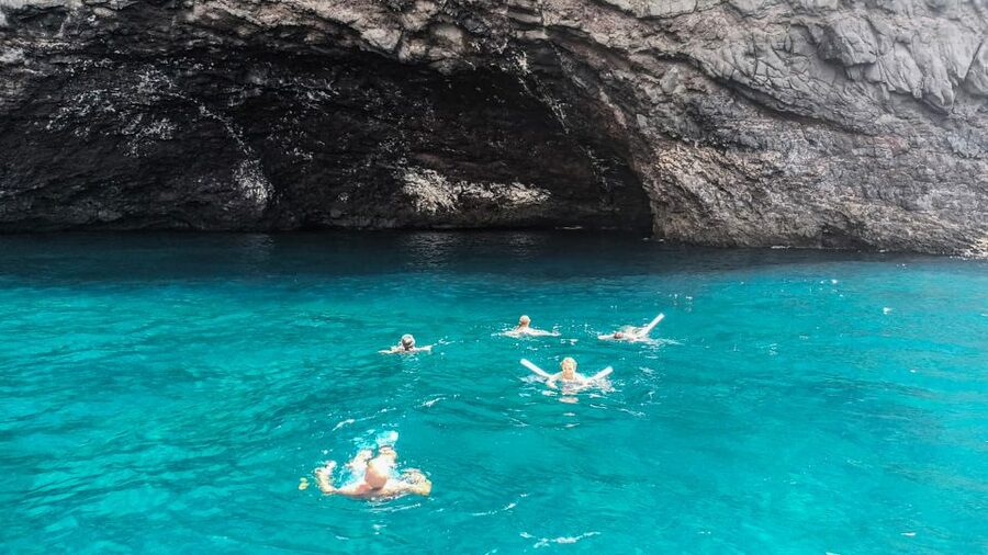 Los Gigantes: Whales and Dolphin Watching Cruise with Lunch - Spotting wildlife: pilot whales, dolphins, sea turtles, and what else is possible