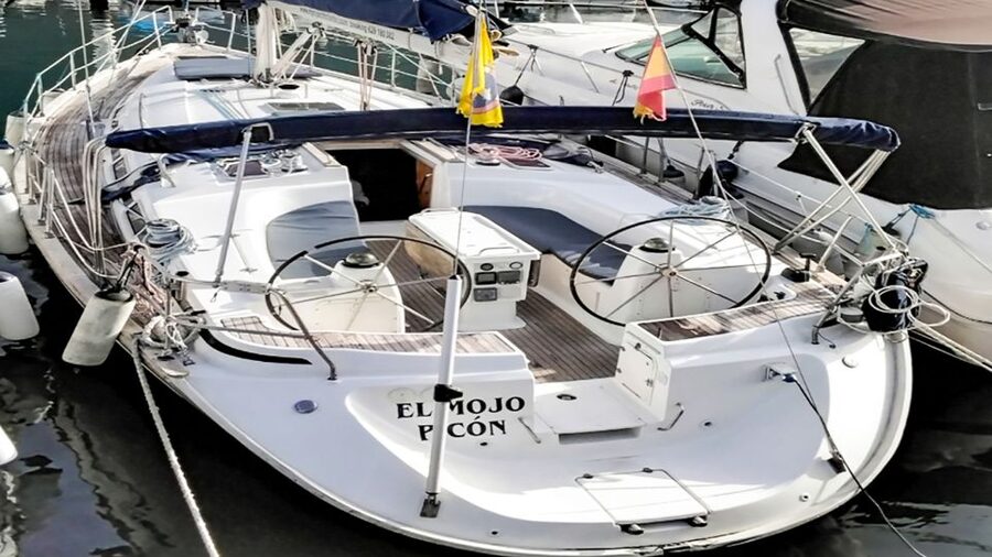 Los Gigantes: Whales and Dolphin Watching Cruise with Lunch - Value at about $74: why the price makes sense (and when it might not)