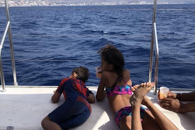 Luxury 3 Hour Yacht Private Charter - Las Galletas whale and dolphin spotting: why the route matters