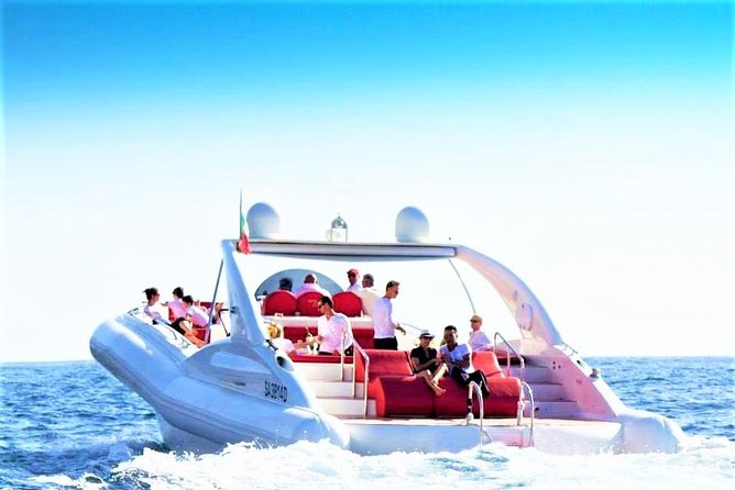 Luxury Opera 60 Whale & Dolphin Watching Experience - Key points to know before you go