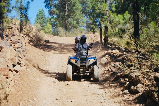 Masca Valley Guided Buggy Tour. Small Group. - Starting from Guía de Isora, where the day begins
