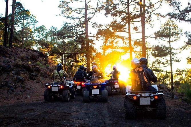 Masca Valley Guided Buggy Tour. Small Group. - Pickup zones and meeting point reality check