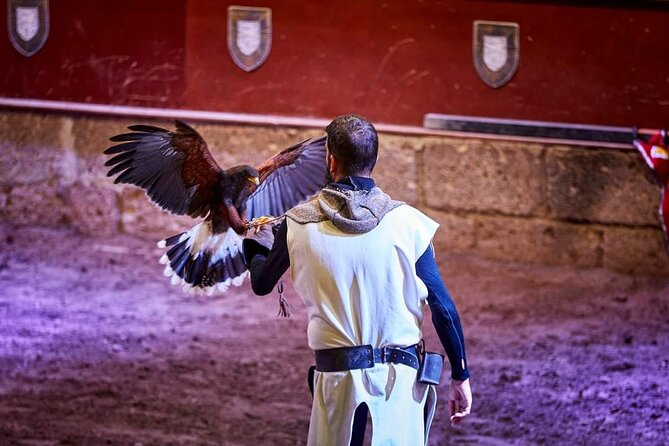 Medieval Castle with dinner from Puerto de la Cruz in TenerifeSur - Should you book Medieval Adventure at Castillo San Miguel?