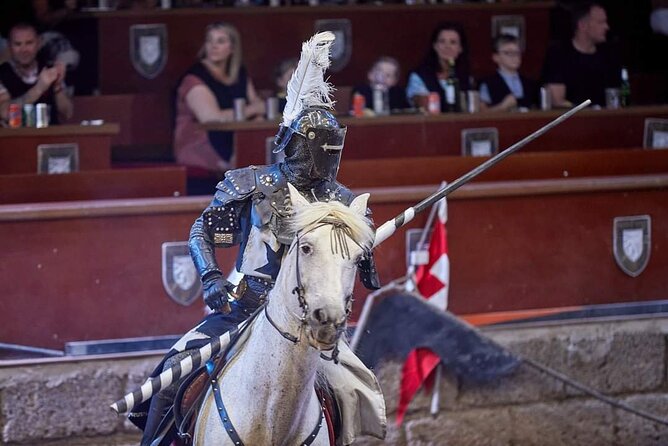 Medieval Castle with dinner from Puerto de la Cruz in TenerifeSur - The show program: horsemanship, jousting, sword fighting, and falconry